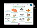 std 3 tamil book lesson 1 term 2 காட்டில் திருவிழா book back answers மழைத் துளி