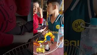 បូរិនលេងឡានដឹកដី , Borin playing with a truck , short video