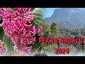 Pekan Nabalu Sabah #nabalu #kundasangsabah #pekannabalu2024