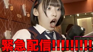 【緊急】坂川陽香というメンバーについて！！！！！！配信【AKB48】