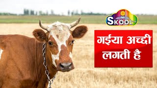 गईया मेरी अच्छी Lagti Hai - Sabko Doodh Pilati - गईया अच्छी लगती है सबको दूध पिलाती