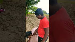 இப்ப மணி என்ன இருக்கும்😂😅🤣#comedy 🤣#funny #trending Ytshorts #shortsfeed