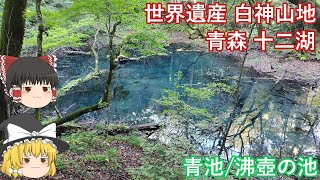 世界遺産 白神山地 青森 十二湖 青池／沸壺の池(ゆっくり動画)