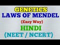 Genetics :- Laws of Mendel (Easy Way)/ Hindi