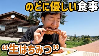 【高崎】生はちみつ体験してみた