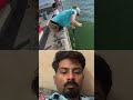 எவளோ பெரிய மீன் trending shorts ytshorts viralvideo fishing fish