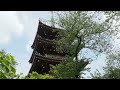 東京　上野公園　上野東照宮　五重塔　２０１６．４．２２　ueno park tokyo