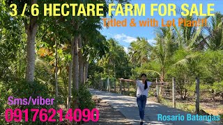 Vlog455: 3/6 HECTARE COCONUT \u0026 CITRUS FARM FOR SALE ROSARIO BATANGAS PHILIPPINES