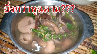 เห็ดผึ้งขม[หรือเห็ดยูคาของแซบอีสาน]