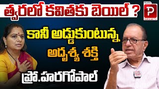 త్వరలో కవిత కు బెయిల్ ? Prof Haragopal Analysis On MLC Kavitha Bail | Delhi Liquor Scam | Popular TV