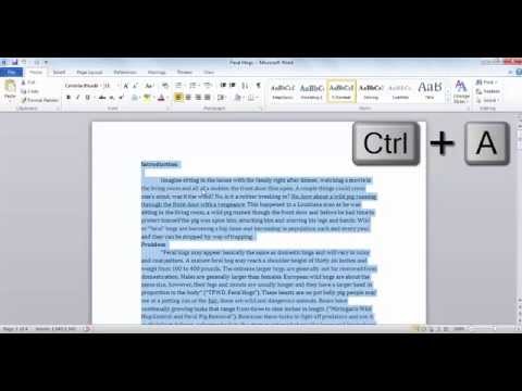 What is the format for a research paper?