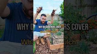 What Does Mulch Do? #gardentips #gardeningaustralia #cunk