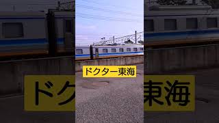 これが在来線版のドクターイエロー #4k #jr東海 #列車