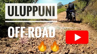 Uluppuni View Point | Off - Road Killer 🔥🔥| Wagamon Natures's Beauty Incredible Idukki Vagamon Hills