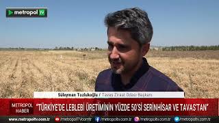 TÜRKİYE’NİN LEBLEBİ ÜRETİMİNİN YÜZDE 50’SİNİ SERİNHİSAR VE TAVAS SAĞLIYOR”Tavas Z.O.BZ.M.Süleyman T.