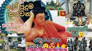 මෙහෙම දෙයක් හිතාගන්නවත් පුළුවන්ද😲😍🙏 #travel #nature #love#god #buddha #fashion #wildlife #tour #fyp