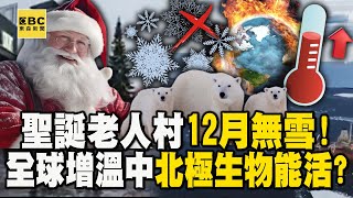 北極の氷は10年ごとに12％溶けており、「今後さらに暑くなるだけ」です。生物は極端な気候でも生き残ることができるのでしょうか?サンタ村にも雪が降ってないよ！