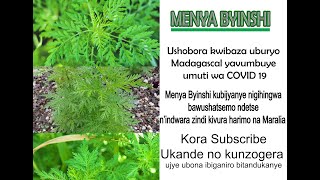 MENYA BYINSHI: menya aho umuti Madagascal yatangaje wa COVID 19 aho waturutse