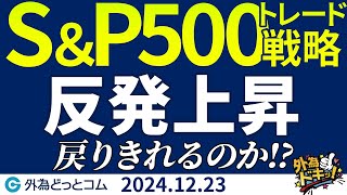 S\u0026P500を3分解説。反発上昇、急落前に戻りきれるか？【今夜の見通し】 2024/12/23　#外為ドキッ