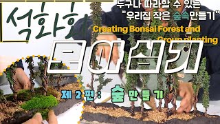 석피석위에 석화회 숲만들기 누구나 따라할 수 있는 우리집 작은 숲 만들기How to create Bonsai forest(Group Planting)from Chirimen