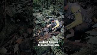 Menikmati Kesegaran Aliran Air Sungai yang Mengalir di Tengah Hutan