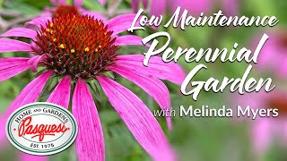 Low Maintenance Perennial Garden