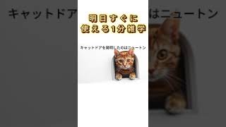 明日すぐに使える雑学　日本人の9割が知らない面白い雑学　#雑学 #豆知識 #トリビア  #1分雑学