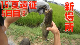 雷魚\u0026ナマズ釣り15夏遠征5日目その2【123】虫くん釣りch