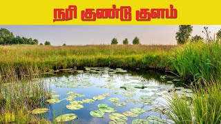 நரி குண்டுக் குளம் யாழ்ப்பாணம் |St Bosco School Jaffna|Narikundu Kulam