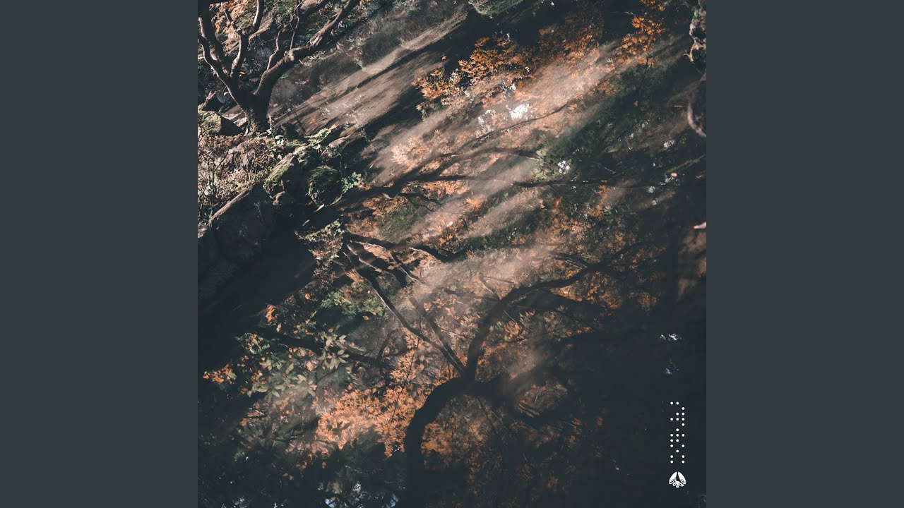 Wandering Youtube Music