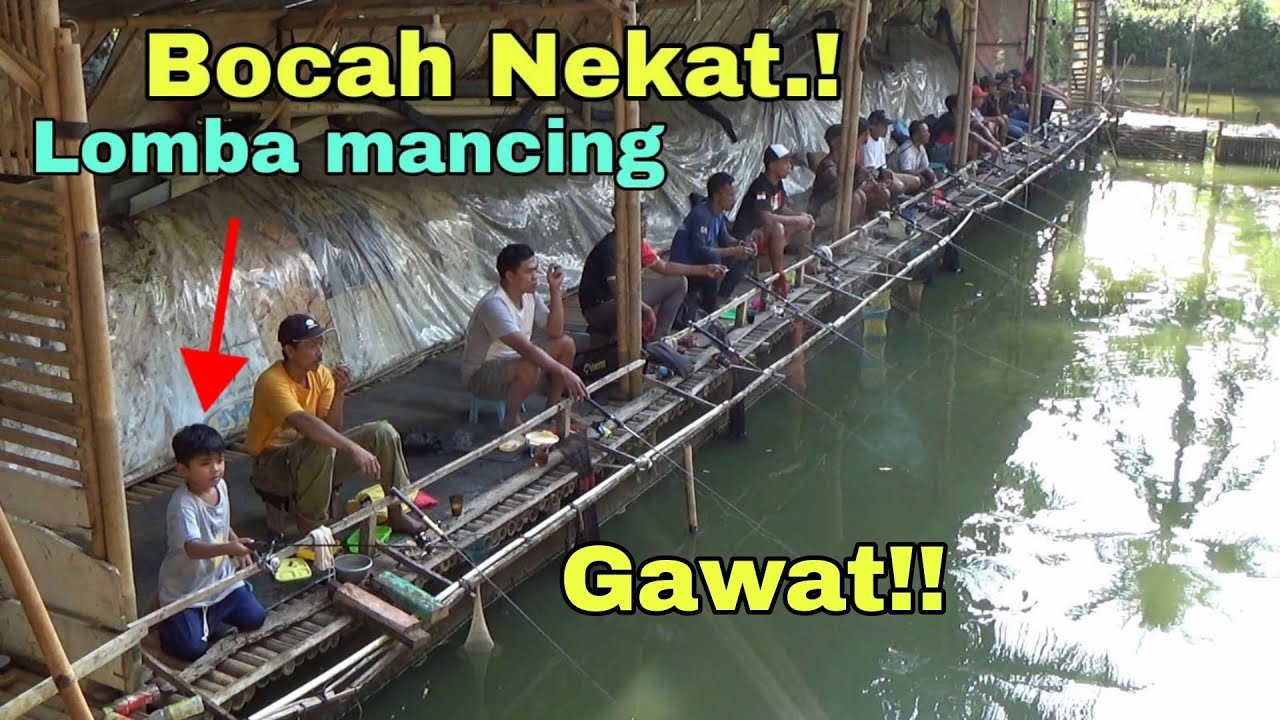 Viral.!! Bocil Ikut Lomba Mancing Ikan Mas Berhadiah Saweran Ikan ...