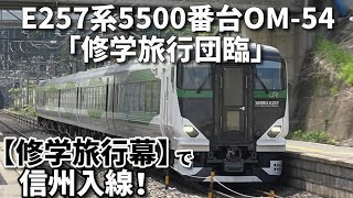 【E257系5500番台OM-54 修学旅行団臨で信州入線！】