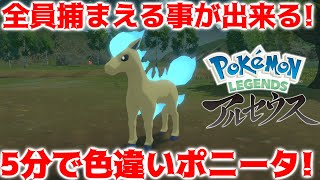 【レジェンズアルセウス】全員入手出来る！色違いポニータ出現を五分で解説！【Pokémon LEGENDS アルセウス】