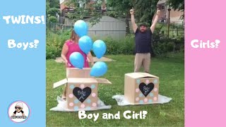 10 Twin Gender Reveal  2018 / Twins Pregnancy Announcement