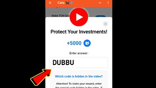 Protect Your Investments! Cats Code | Protect Your Investments cats video code today