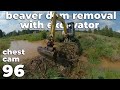 Beaver Dam Removal With Excavator No.96 - My Point Of View - Chest Cam