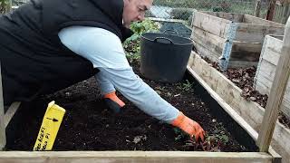 90 Minute Allotment Gardening Makeover Made A Massive Difference ♻️ Cooljob Safety Gloves