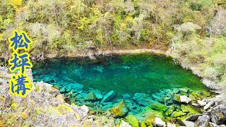 有小九寨溝之稱的四川松坪溝，秋天的五彩林太美了。