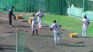 【プロ野球】2022.11.16　阪神タイガース　秋季キャンプ　『ランチ特打　8佐藤、58前川　トスバッティング』