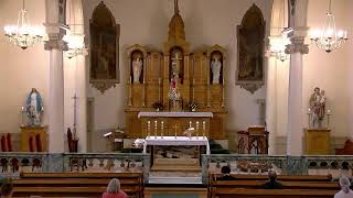 Memorial of St. Clare of Assisi OT(A)...Friday, August 11