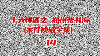 十大悍匪之郑州张书海落网记（第14集）