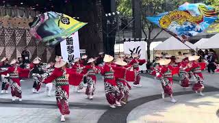 【新琴似天舞龍神】東京よさこい　2日目　ふくろ祭り　西口公園ステージ