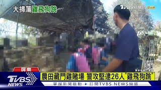 農田藏鬥雞賭場 警攻堅逮26人「雞飛狗跳」｜TVBS新聞@TVBSNEWS01