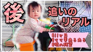 【後追い】11ヶ月赤ちゃんの本気【モニタリング】