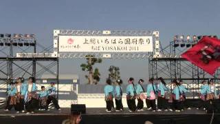 朝霞鳴子一族め組　　ちばYOSAKOI 2011　市原メイン会場