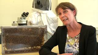 Cooperative Research Centre for Honey Bee Products