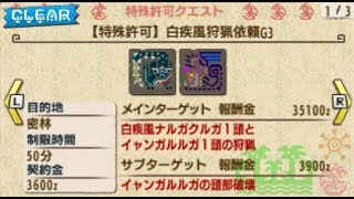 【MHXX】特殊許可　白疾風狩猟依頼G3　エリアルx操虫棍ソロ　Insect Glaive solo Ariel　Silverwind G3：Hunt【3DS】