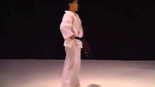 kyokushin karate bible 3 of 7