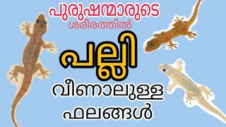 പുരുഷന്മാരുടെ ശരീരത്തിൽ പല്ലി ( ഗൗളി ) വീണാലുള്ള ഫലങ്ങൾ SREEVASTHAV ASTROLOGER ALATHUR 9447320192