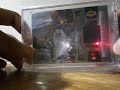 FRANK AND SONS SHOW RECAP! KOBE ROSE DURANT MJ MOJO!